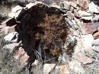 P4190022.webp P4190022.webp