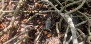20190518_123141.webp