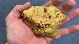 Gold nugget.webp