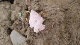 20190510_081301.webp