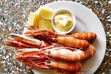 langos_1551442112.webp
