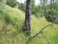 101_5373.webp 101_5373.webp