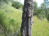 101_5374.webp