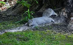K1600_DSCN4590.webp