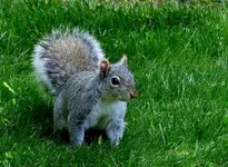 K1600_DSCN4600.webp