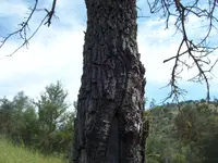 101_5377.webp 101_5377.webp