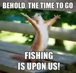 timetofish.webp