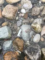 ImageUploadedByTreasureNet.com1558414038.353858.webp ImageUploadedByTreasureNet.com1558414038.353858.webp