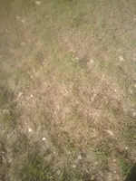 IMG_20190420_161002.webp IMG_20190420_161002.webp