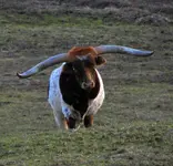 DSCN9533.webp