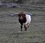 DSCN9536.webp