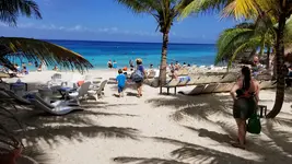20190305_113738.webp 20190305_113738.webp