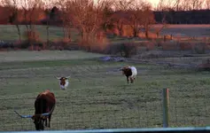 DSCN9539.webp