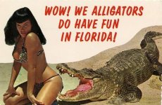 Bettie-Florida-gator.jpg