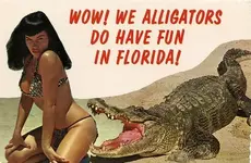 Bettie-Florida-gator.webp