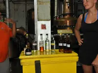 DSCN8913.webp