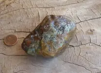 20190510_124934.webp