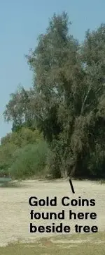 000000000000000000001.webp