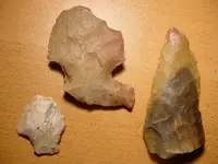 todays fins 002.webp