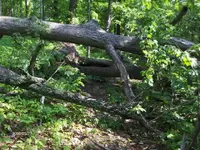 HPIM0240 (Small).webp