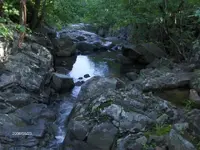 HPIM0243 (Small).webp