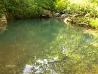 HPIM0244 (Small).webp