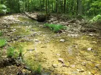 HPIM0247 (Small).webp