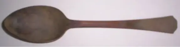 SilverSpoon.webp