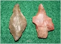 drills1.webp