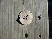 lead button.webp