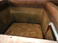 DSCN8937.webp