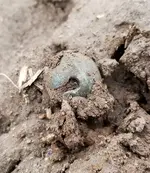 20190414_195122.webp