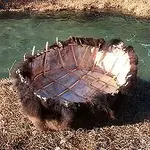 bullboat3.webp