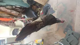 0403191249.webp
