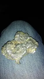 IMG_20190328_172616[1].webp