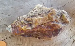 20190504_105449.webp