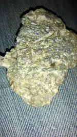 IMG_20190328_221409[1].webp