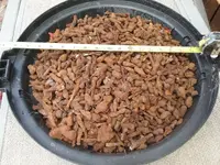 20181231_123547.webp