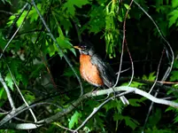 K1600_DSCN4860_InPixio.webp