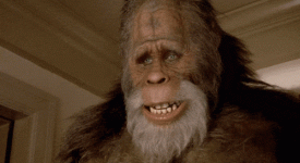 2F475C90-FFB6-4DA0-845D-DE8738604D99.gif
