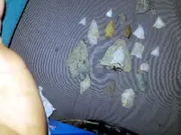 20190414_224406.webp