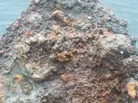 20190430_140639.webp