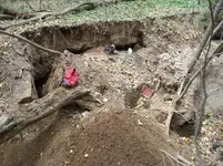 1910379_627154120970_1030_n.webp