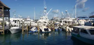 20190329_083609.webp