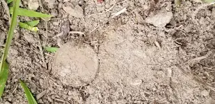 20190329_140255.webp