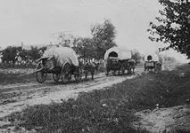Wagons East 2.webp