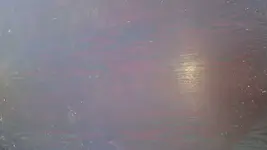 20190521_161443.webp