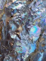 20190329_134412.jpg.2cf094b4995b053ce677b4296d839ff5.webp