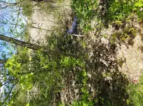 20190511_140346.webp