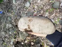 20190511_140602.webp